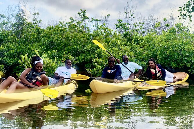 Magic Mangrove Paddle in Beef Island Lagoon - Exploring the Coral Atoll