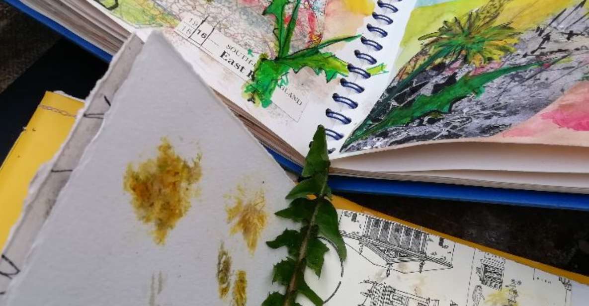 Maidstone: Mote Park Nature Walk and Drawing Workshop - Drawing Class With Artist