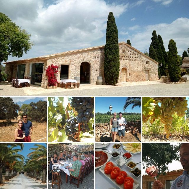 Mallorca: Private Wine Tour With Tasting and Picnic - Inclusions and Exclusions