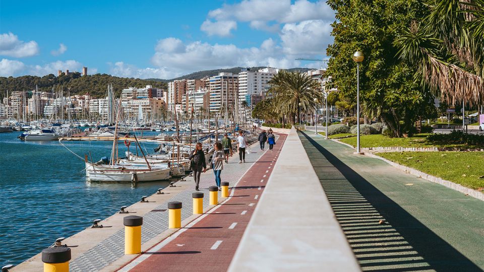 Mallorca Walking & Picnic Tour (Ink. Town, Nature, Beach) - Exploring the Bazaar Market