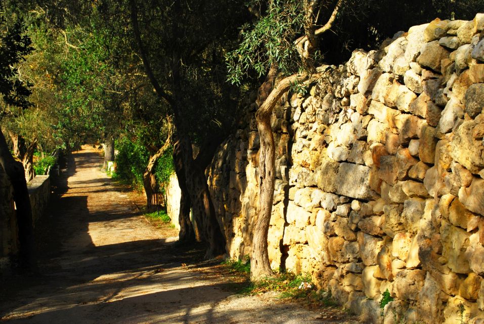 Malta: Scenic Tour by Vintage Bus Including Palazzo Falson - Palazzo Falson: A Historical Gem