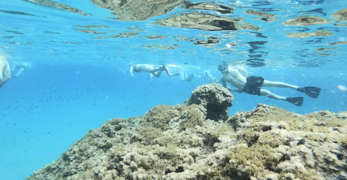 Malta: Snorkeling Tour - Snorkeling Experience