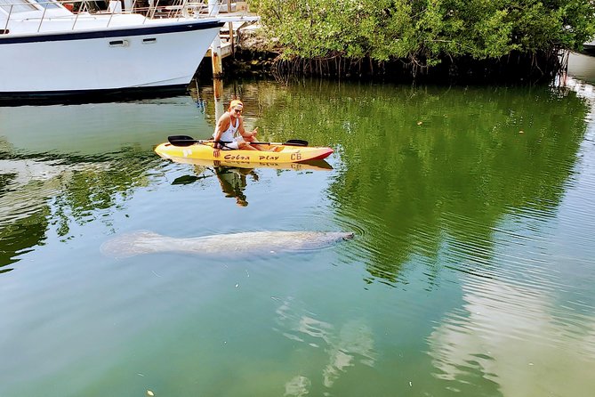 Mangroves and Manatees - Guided Kayak Eco Tour - Location and Accessibility