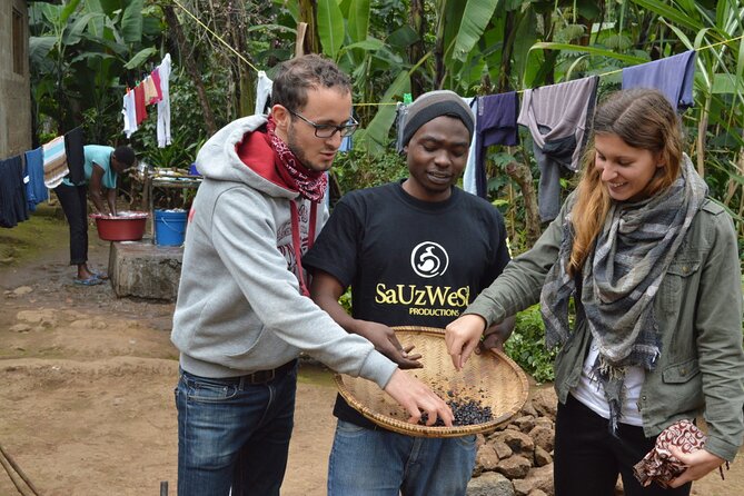 Marangu Waterfall & Coffee Making Cultural Tour | BURIGI CHATO SAFARIS CO LTD - Coffee Cultivation Experience