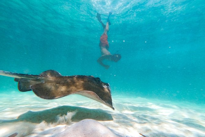 Marinarium Snorkeling Cruise From Punta Cana - Relax at the Waist-Deep Lagoon