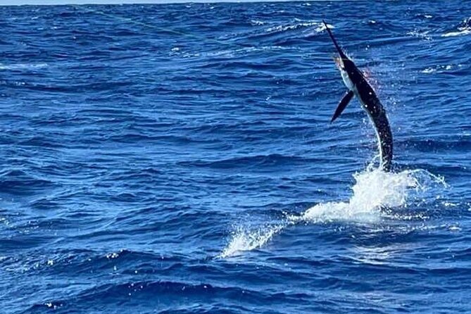 Marlin Fever at Marina Cap Cana -Private Sportfishing Charter - Crew Assistance