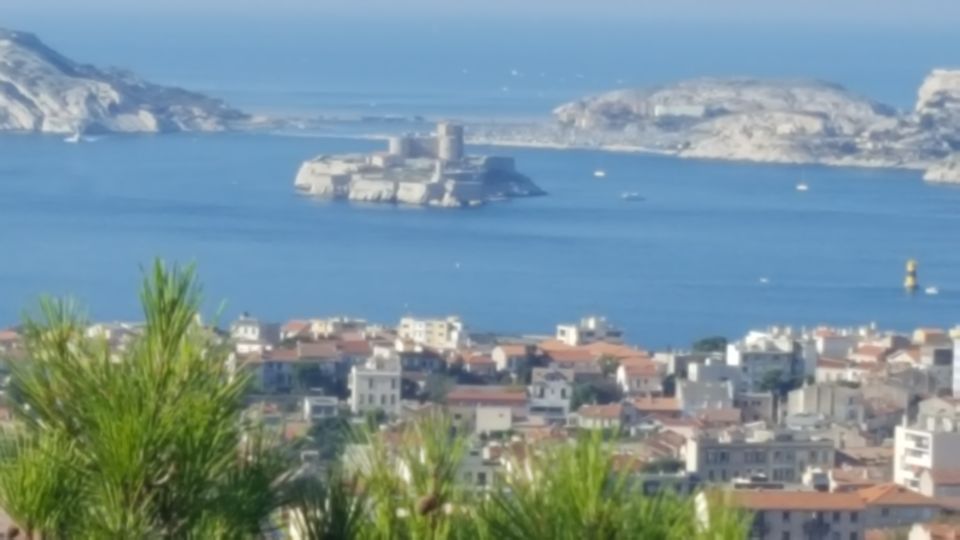 Marseille City Tour Half-Day - Vieux Port: Historic Maritime Hub