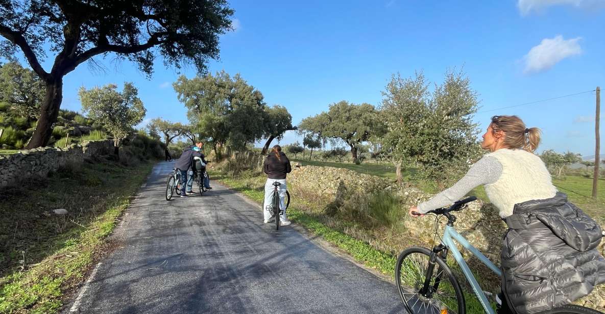 Marvão: Bike Tours in Nature - Highlights of the Experience