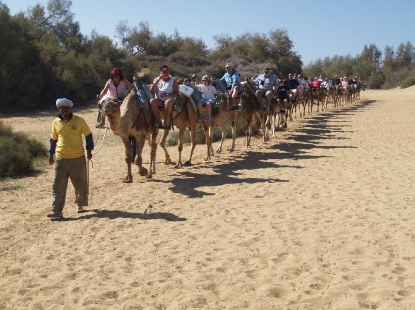 Maspalomas: E-Bike Tour Optional Camel Ride - Camel Ride Experience