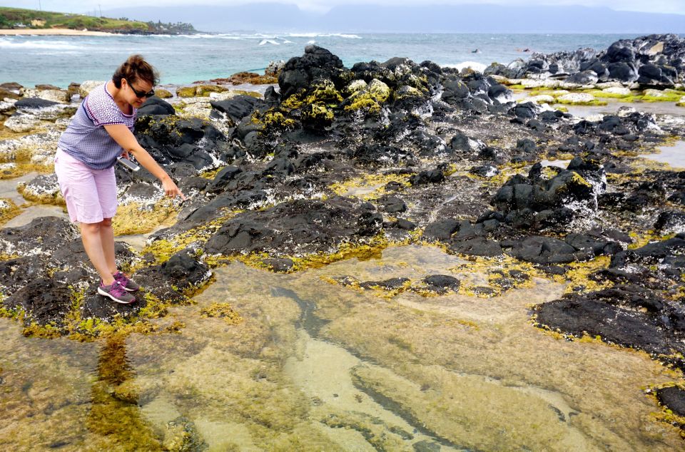 Maui: Private Guided Halfway to Hana Tour - Hiking and Swimming