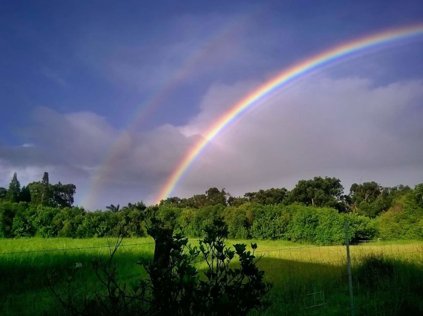 Maui: Private Guided Round-Trip Excursion to Hana - Activities