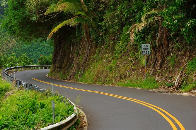 Maui Tour - Road to Hana Adventure Tour - Small Group - Tour Experience and Guides