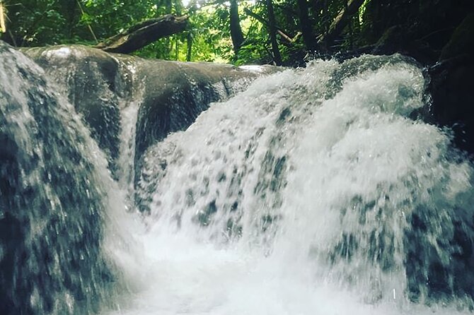 Mayfield Falls Tour With Lunch, Drink, Entry & Transp(Original) - Accessibility and Limitations