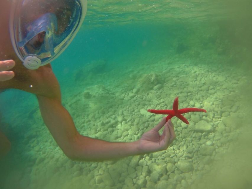 Meganisi: Half-Day Guided SUP Tour to Nisída Thiliá Island - Meeting Point