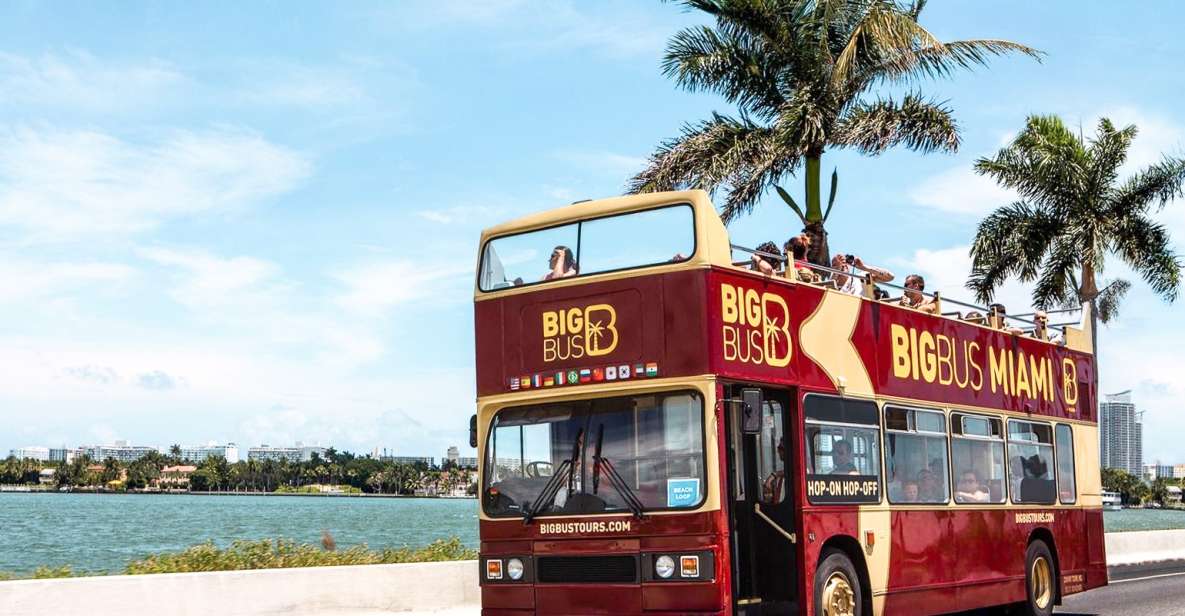 Miami: Hop-on Hop-off Sightseeing Tour by Open-top Bus - Transportation and Accessibility