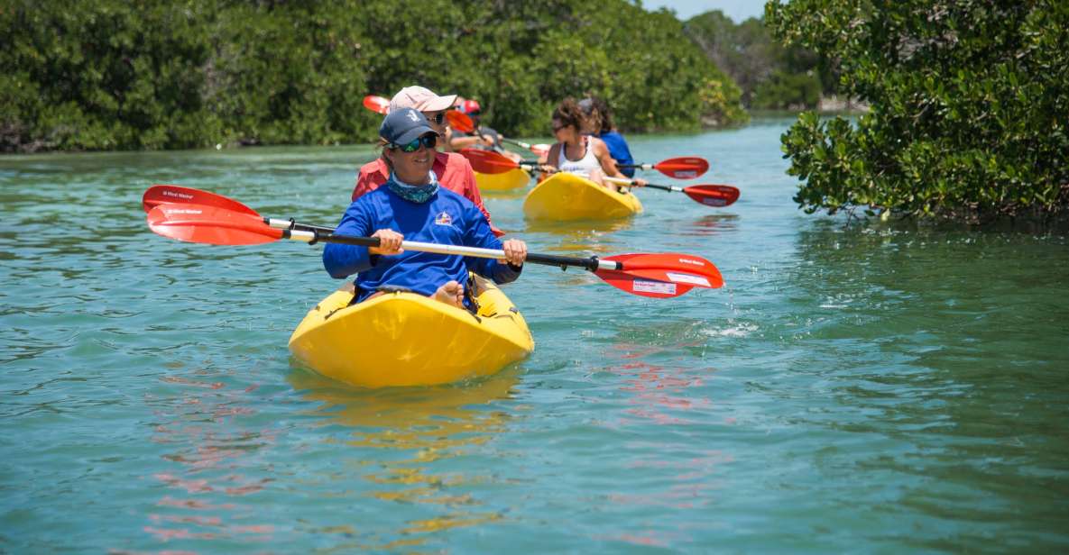 Miami: Key West Tour With Snorkeling & Kayaking - Snorkeling Experience