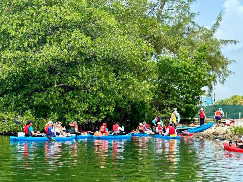 Miami: Manatee Season Tour Paddleboard or Kayak Tour - Included in the Tour