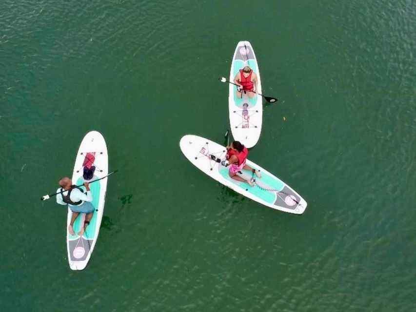 Miami: Paddle Board or Kayak Rental in Virginia Key - Equipment and Safety