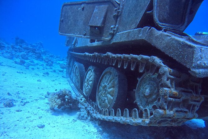 Military Museum Diving Experience in the Red Sea - Accessibility and Accommodations