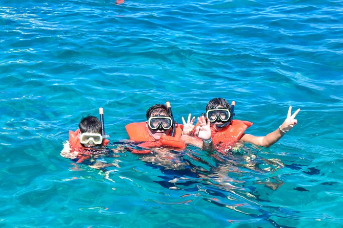 Mimosa Snorkeling Tour From Punta Cana - Accessibility and Recommendations