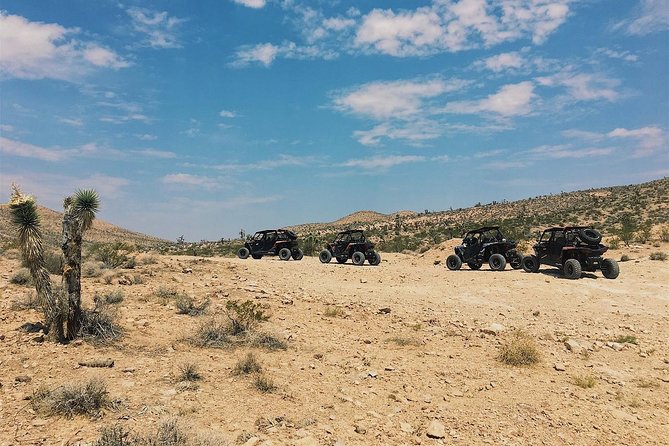 Mojave Desert Off Road RZR Tour in Las Vegas - Safety and Equipment