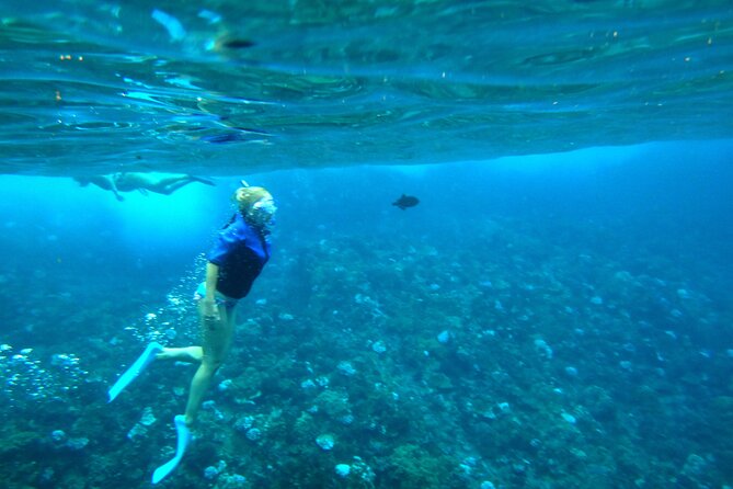 Molokini Crater Snorkeling Adventure - Onboard Amenities