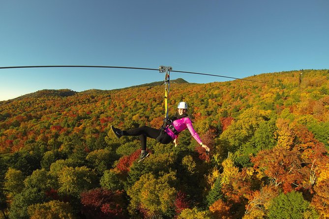 Mont Tremblant Guided Zipline Tour - Accessibility and Weight Limits