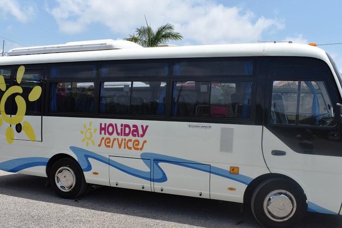 Montego Bay Airport (MBJ) Transportation One-Way or Round-Trip to Hotels - Transfer Vehicle Amenities