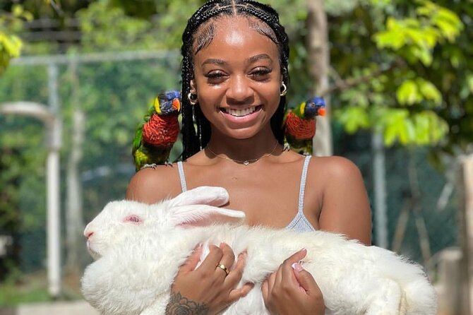 Montego Bay Exotic Herbs, Birds and Animals Interaction Tour - Cancellation Policy