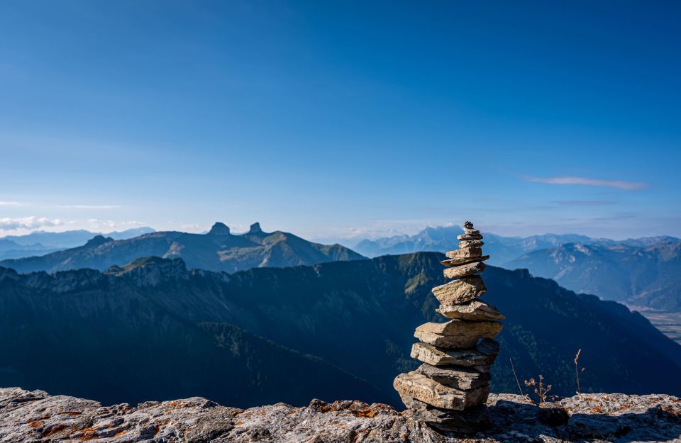 Montreux to Rochers-de-Naye: Alpine Adventure Ticket - Train Experience