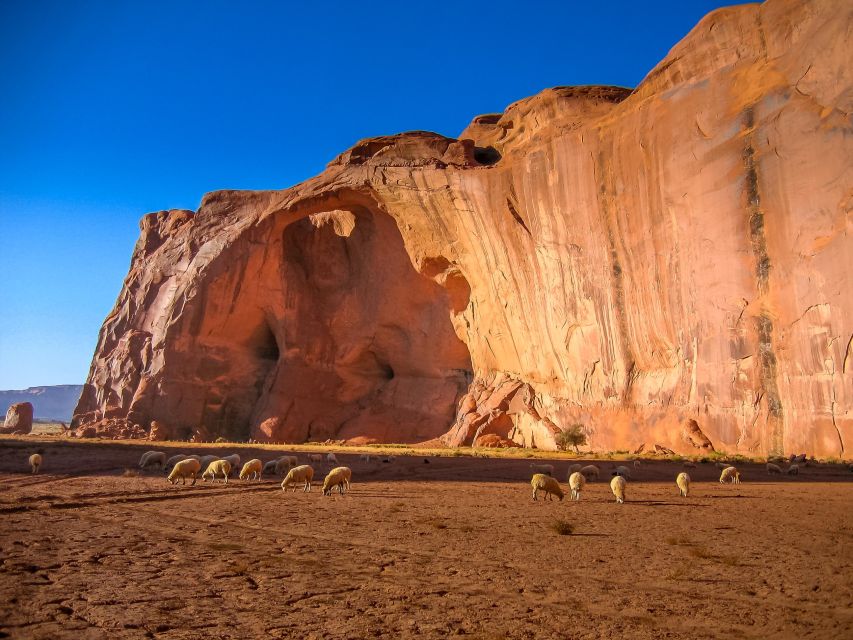 Monument Valley 4x4 Navajo Guided Tour - Tour Highlights