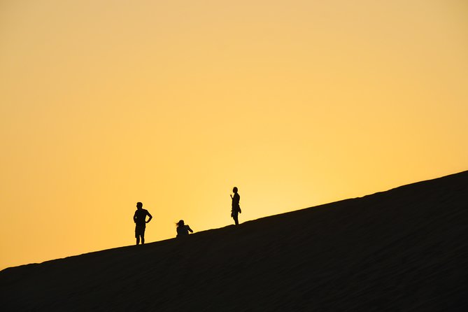 Morning Desert Safari With Camel Ride & Sand Skiing Private Tours - Suitability and Accessibility