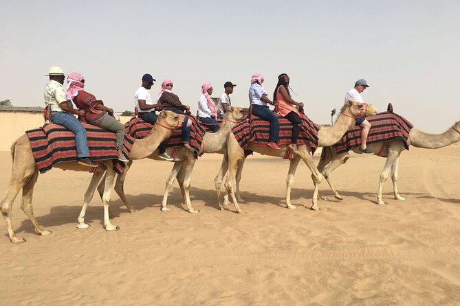 Morning Red Dunes With Camel Ride, Sandboarding and Refreshments - Transportation and Vehicles