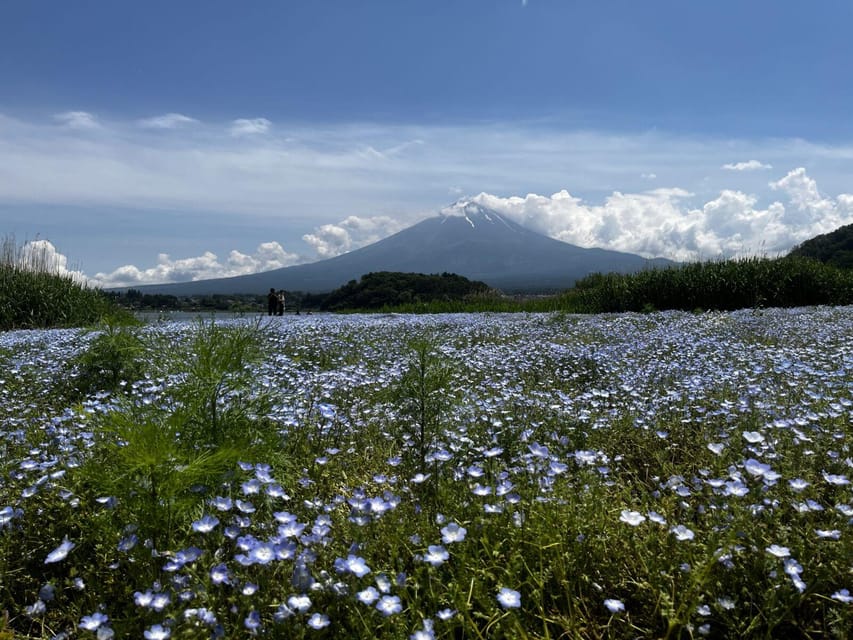 Mount Fuji Day Trip: A Review - Scenic Views and Cultural Experiences