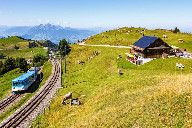 Mount Rigi Majesty: A Scenic Tour to the Queen of the Mountains - Food and Accessibility