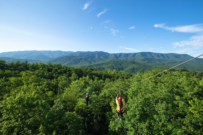 Mountaintop Zipline 2-Hours Activity - Health and Safety