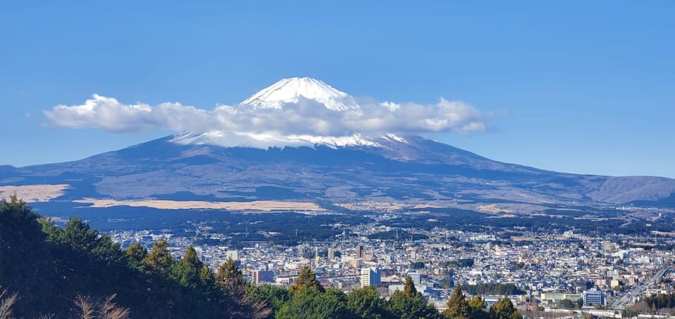 Mt Fuji and Hakone Private Tour With English Speaking Driver - Attractions and Highlights