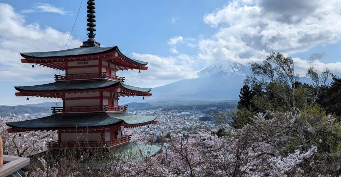 Mt Fuji & Hakone: Sightseeing Private Day Tour With Guide - Tour Experience and Features