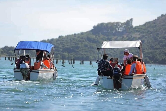 Mussel Sailing Tour With Food and Drink Tasting in Albania - Confirmation and Accessibility Details