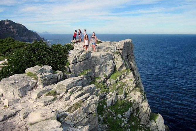 MUST Do: Cape Peninsula Tour & Good Hope From Cape Town! #1 Rated - Additional Tour Information