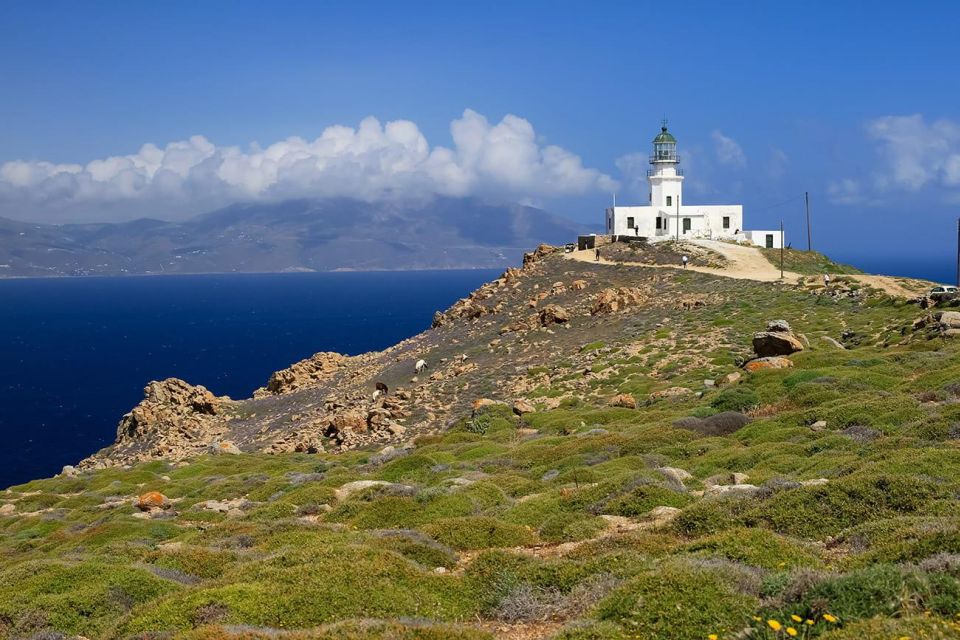 Mykonos: Private Tour Island With A Local - Experience and Features