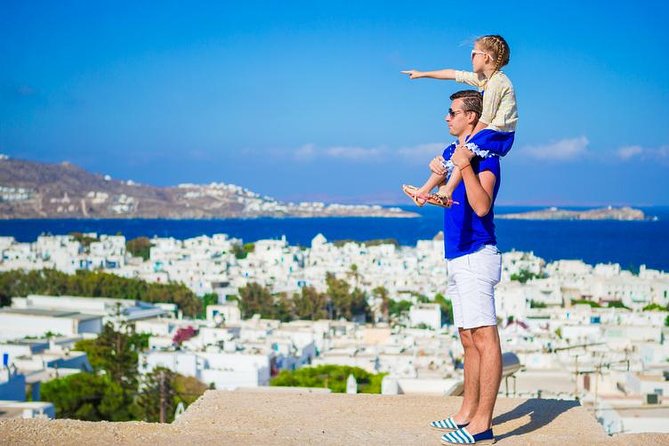 Mykonos Town and Island Half-Day Tour - Tour Experience