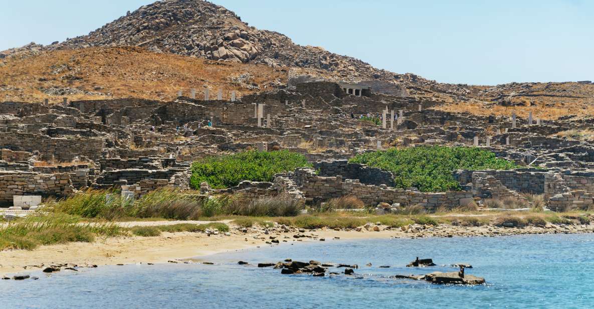 Mykonos Town: Archaeological Site of Delos Guided Day Trip - Inclusions and Meeting Point