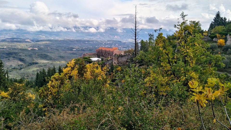 Mystras Castle Town, Sparta, Olive Museum Private Day Tour - Key Attractions