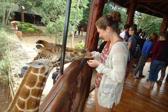 Nairobi National Park, Giraffe Center and Elephant Orphanage Day Tour From Nairobi - Inclusions and Costs