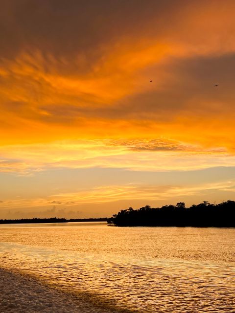 Naples, FL: 2.5 Hour Private Sunset Cruise in 10,000 Islands - Wildlife Viewing Opportunities