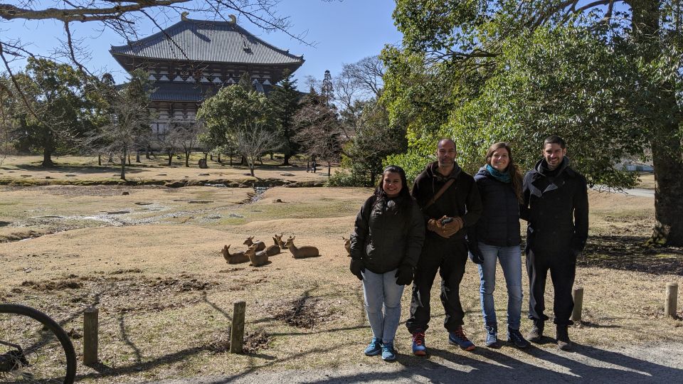 Nara: City Highlights Shared Group or Private Bike Tour - Tour Experience