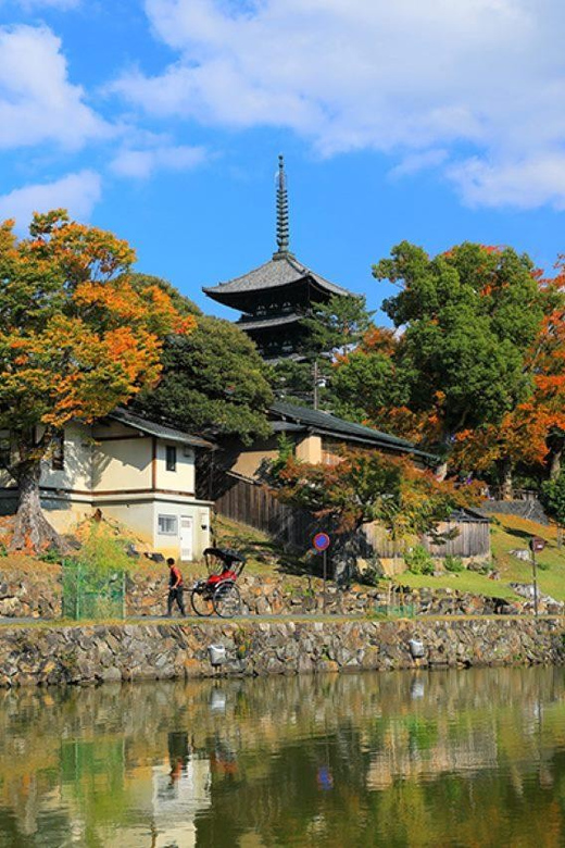 Nara:Private Walking Tour With Famous Spot & Sake & Mochi - Accessibility and Restrictions