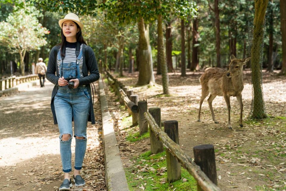 Nara's Historical Wonders: A Journey Through Time and Nature - Cultural and Historical Significance