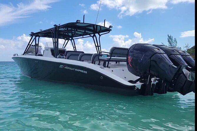 Nassau Aquatic Reef Tour: Snorkel, Turtle Watch, Lunch Included - Tour Accessibility and Restrictions